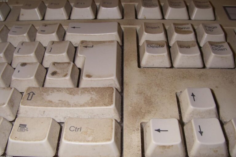 What Is Topical Authority and Why Does It Matter for Your Website?